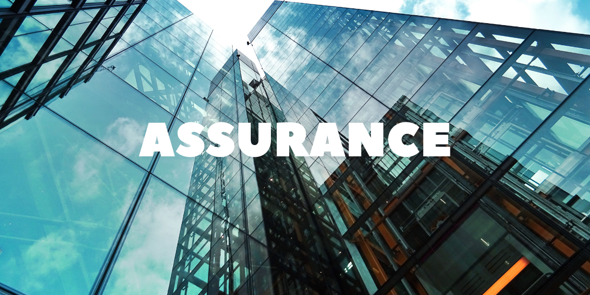 Expérience professionnelle dans le domaine de l'assurance - cv