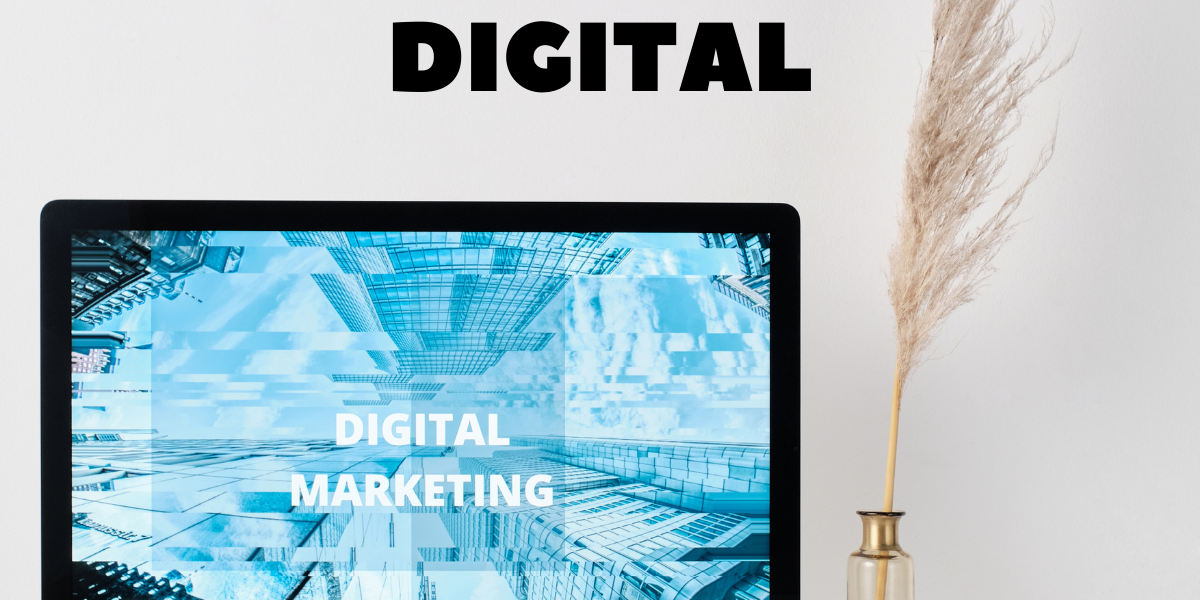 Expérience professionnelle digital marketing - cv