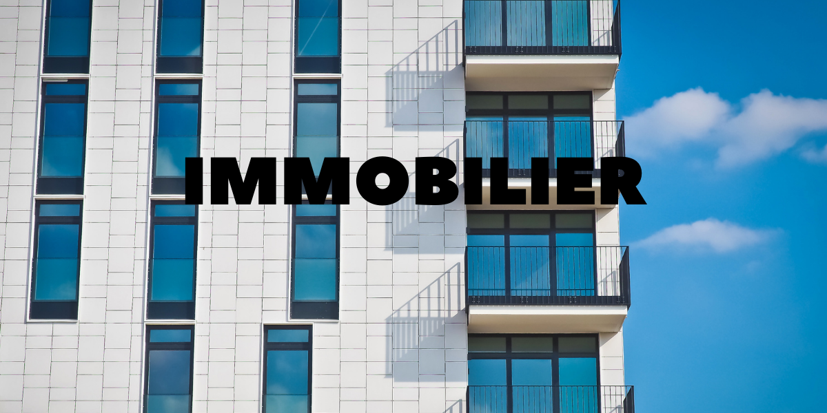 Expérience professionnelle dans le domaine de l'immobilier - cv